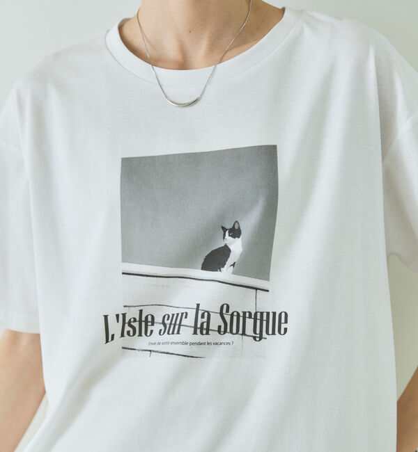 Doux archives「ＣＡＴ転写ロゴＴｅｅ」|Tシャツ・カットソー|OFF WHITE