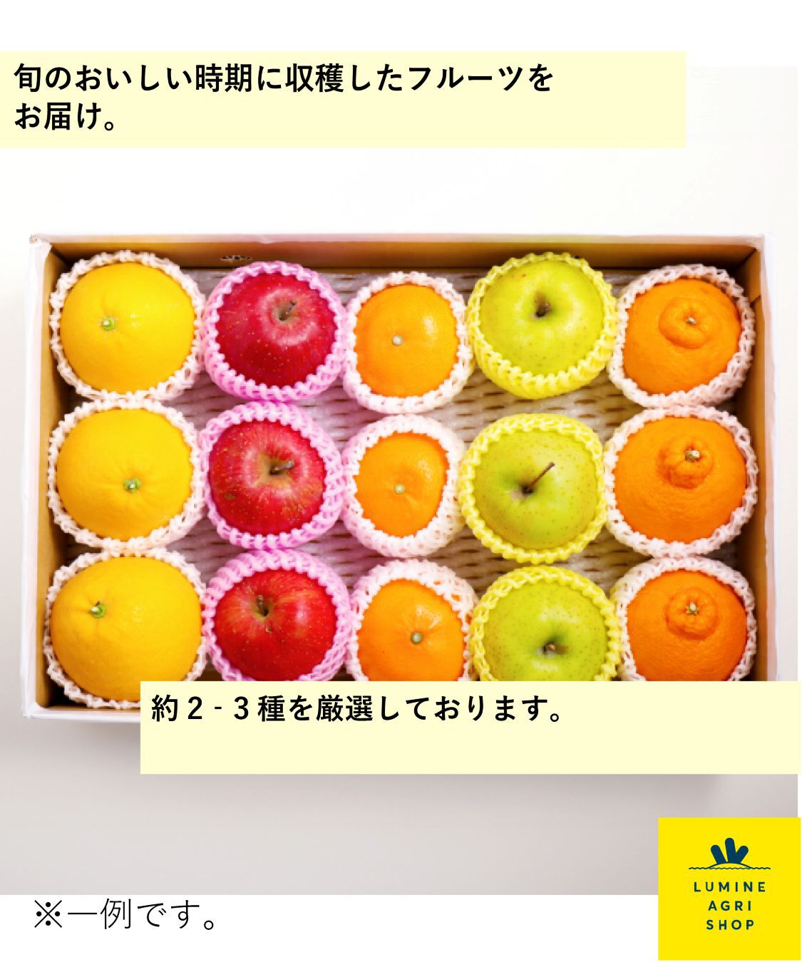 LUMINE AGRI SHOP「旬の国産フルーツ詰合せ 3kg」|果物・野菜|