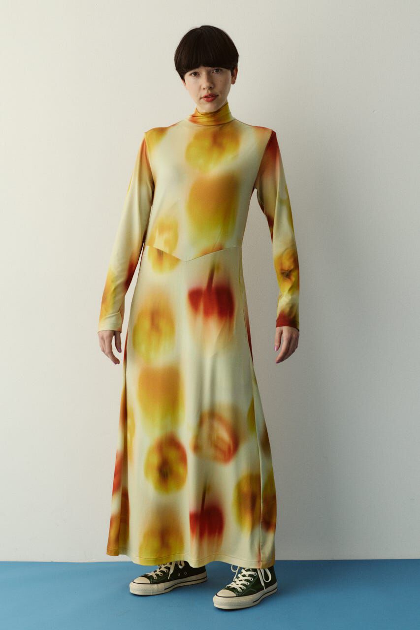 HeRIN.CYE「Paprika pattern dress」|ワンピース|