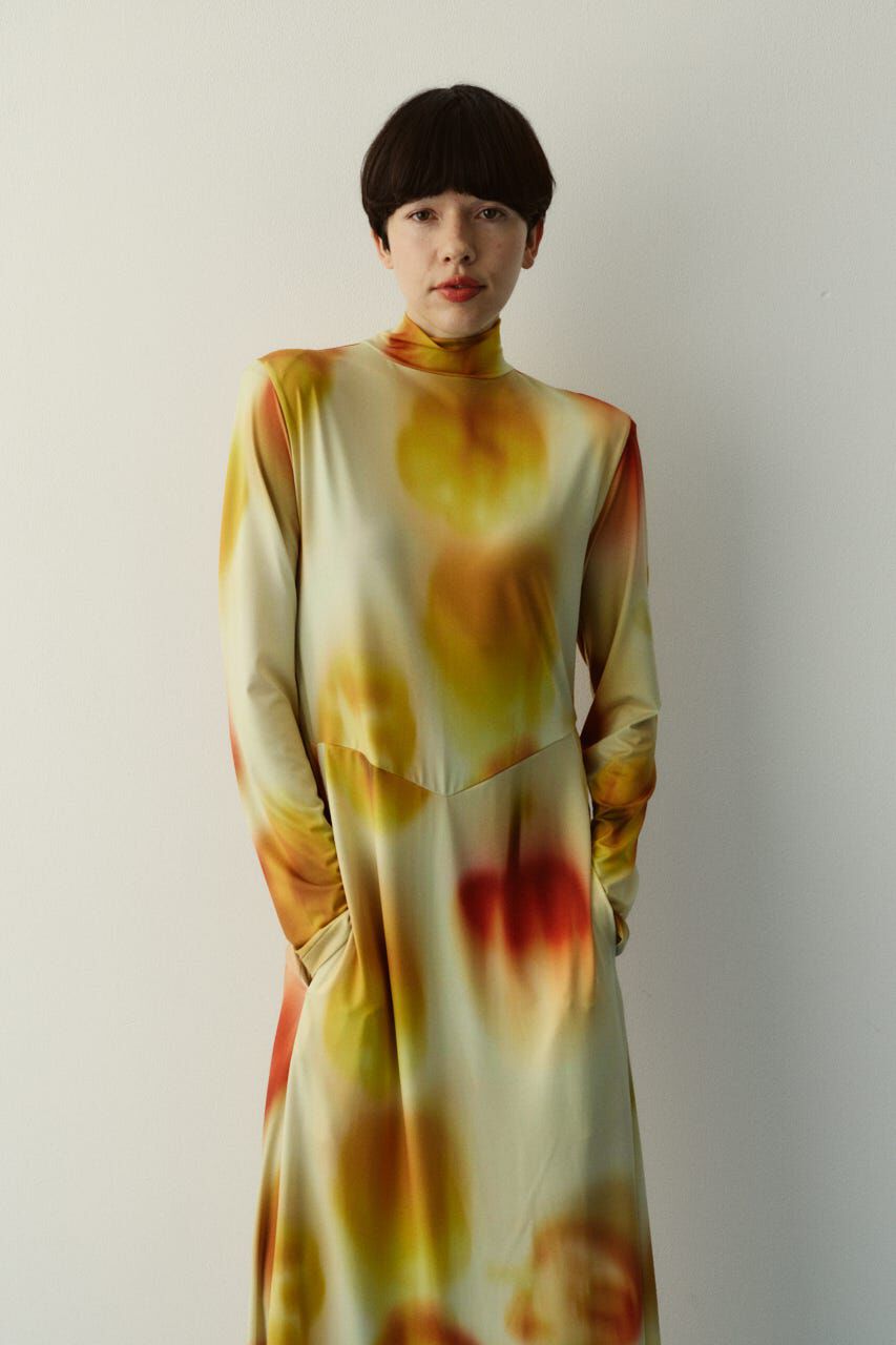 HeRIN.CYE「Paprika pattern dress」|ワンピース|