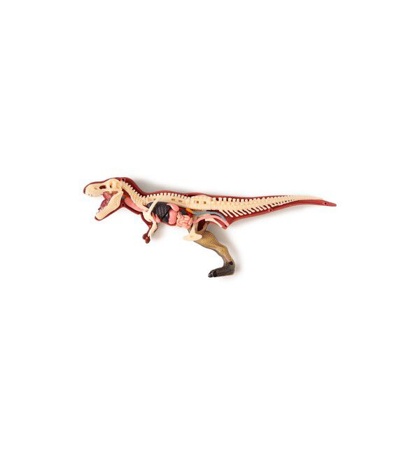 BEAMS「4D MASTER / ANIMAL ANATOMY」|その他|