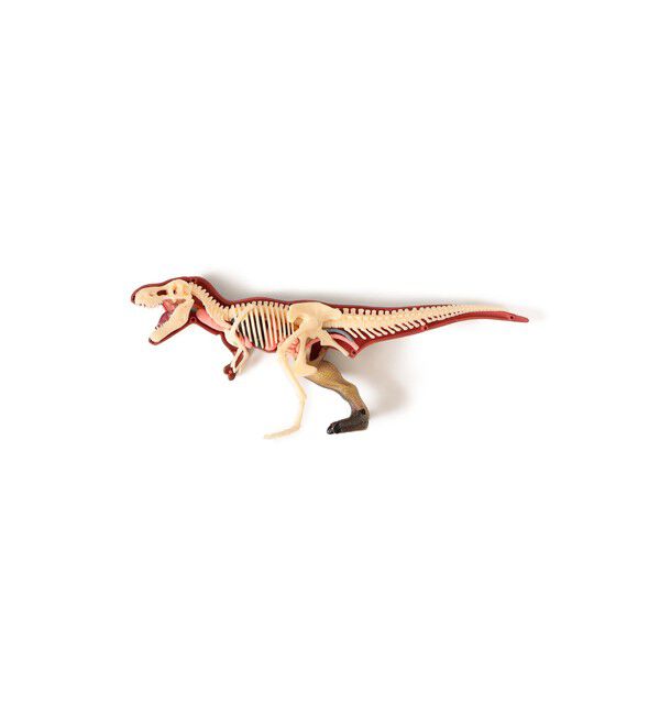 BEAMS「4D MASTER / ANIMAL ANATOMY」|その他|