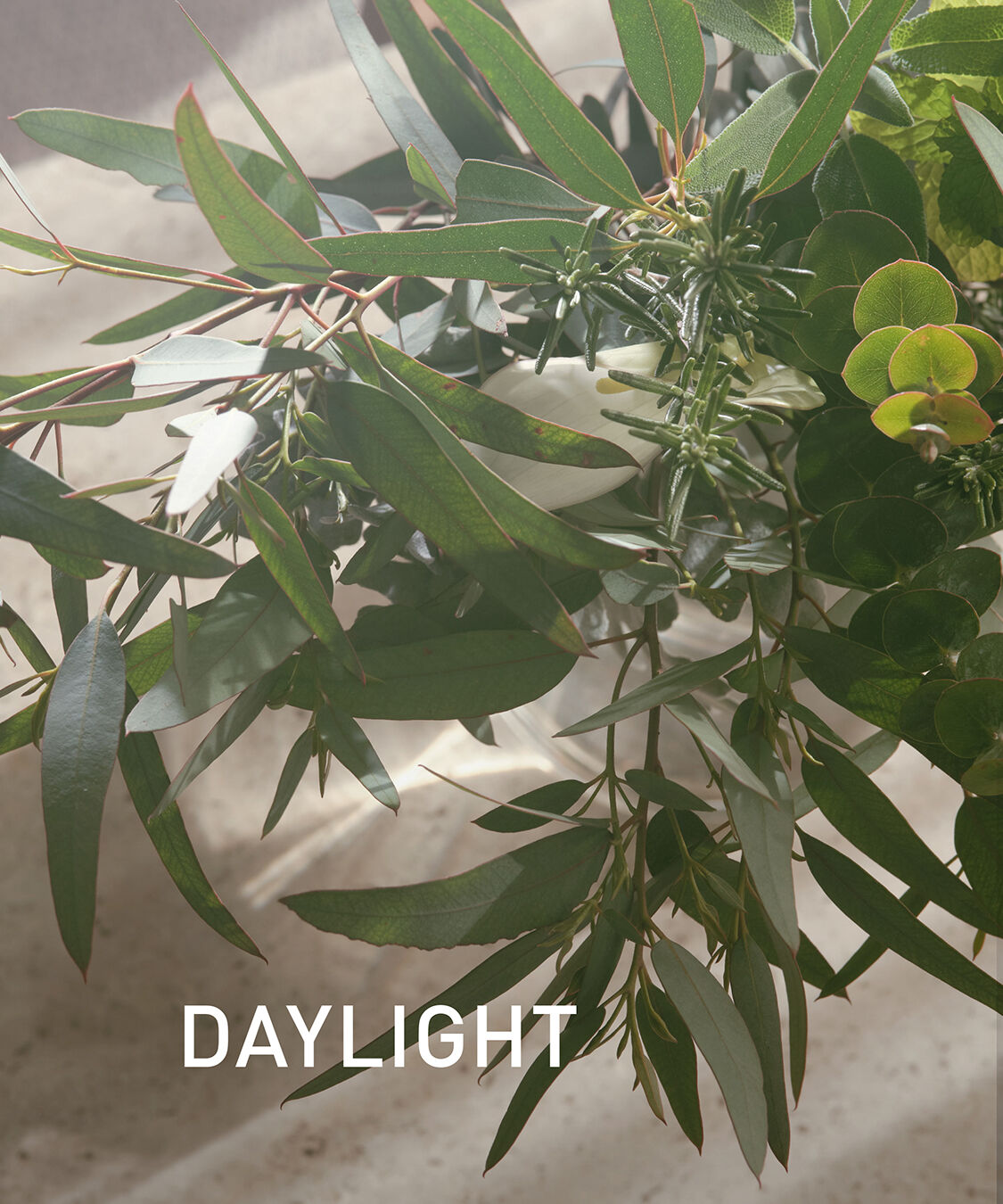アットアロマ「DAYLIGHT 10ml」|アロマ・ルームフレグランス|