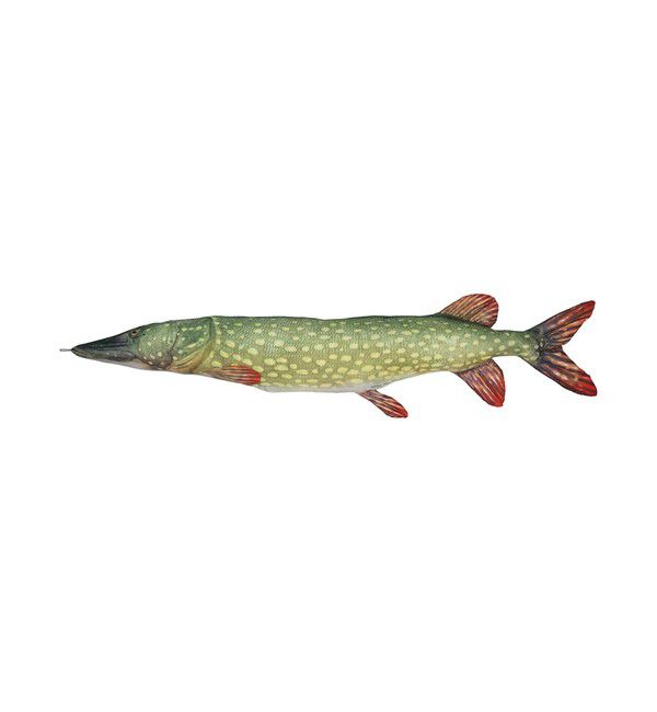 BEAMS「DULTON / FISHES PIKE 195 クッション」|その他|