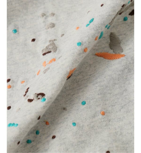 JOURNAL STANDARD relume「CHAMPION / チャンピオン 別注 刺繍スプラッシュ Tシャツ」|Tシャツ・カットソー|