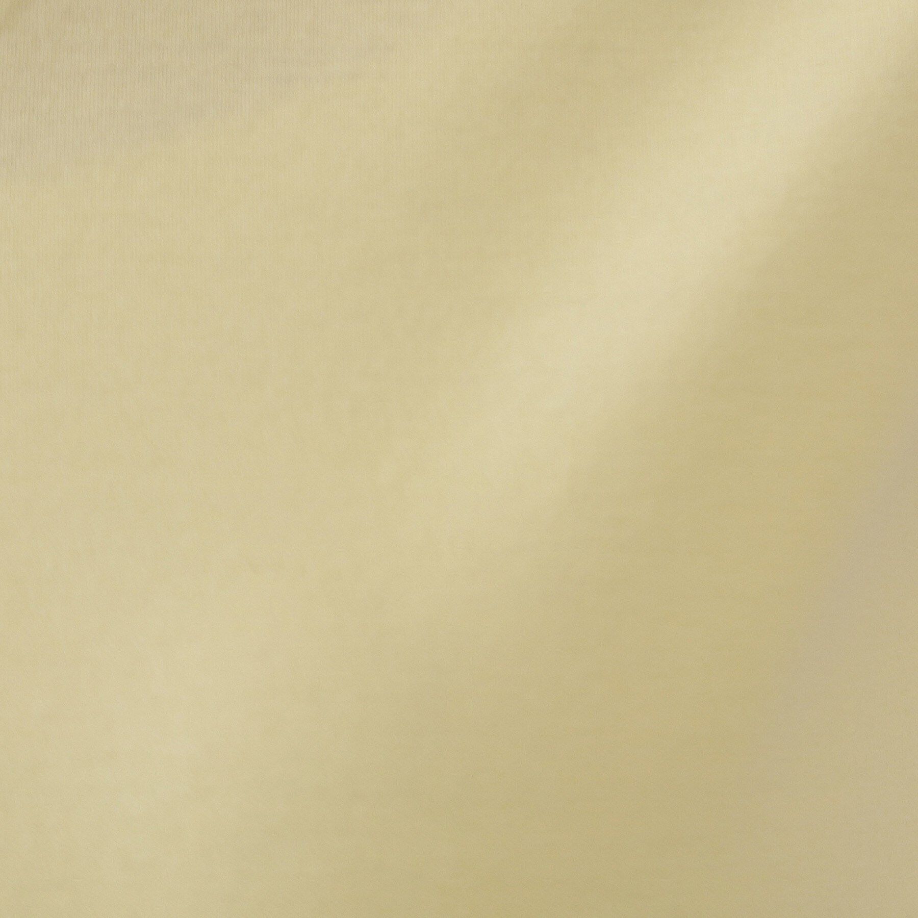 OPAQUE.CLIP「《5色展開／SS-LLサイズ》VネックベーシックTシャツ【接触冷感／洗濯機洗い可】」|Tシャツ・カットソー|