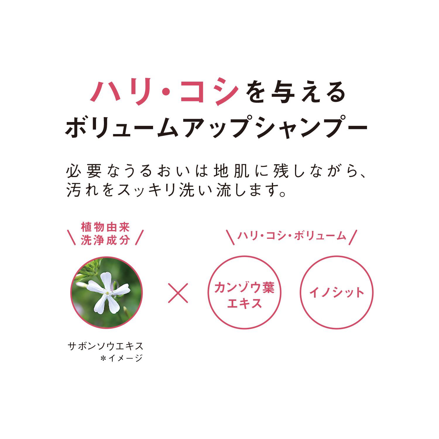 ORBIS「ORBIS スカルプ リファイニング シャンプー つめかえ用 250mL 」|シャンプー|