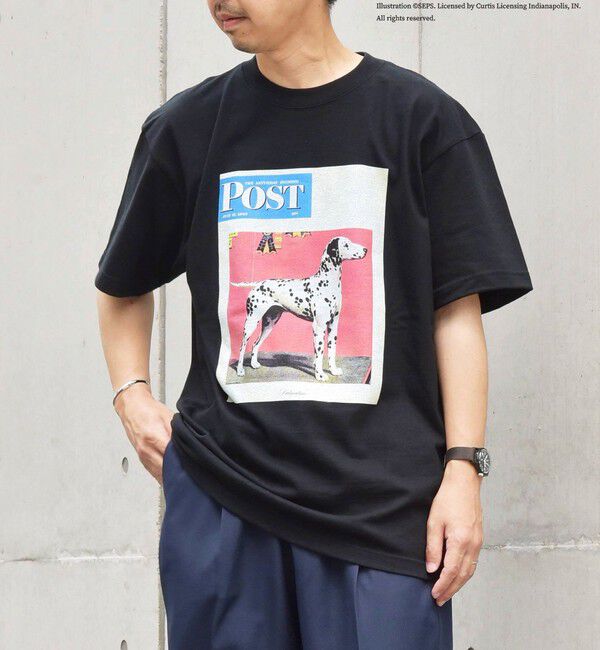 SHIPS any「SHIPS any: The Saturday Evening Post プリント Tシャツ◇」|Tシャツ・カットソー|