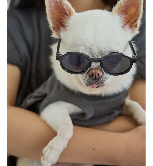 ROPE PICNIC PASSAGE「【DOG】ファッショングラス」|その他|
