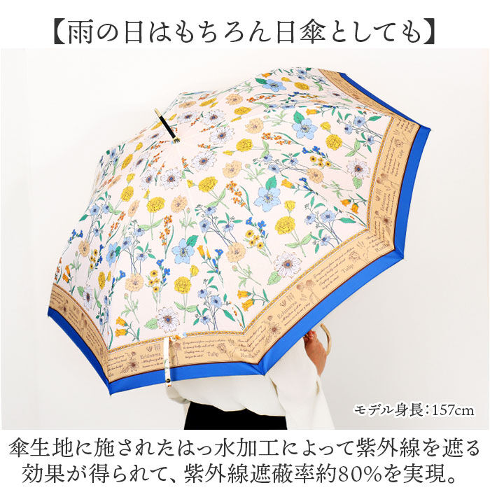 BACKYARD FAMILY「because 傘 ビコーズ 通販 晴雨兼用傘 長傘 カサ かさ レディース 晴雨兼用 雨傘 撥水」|傘|