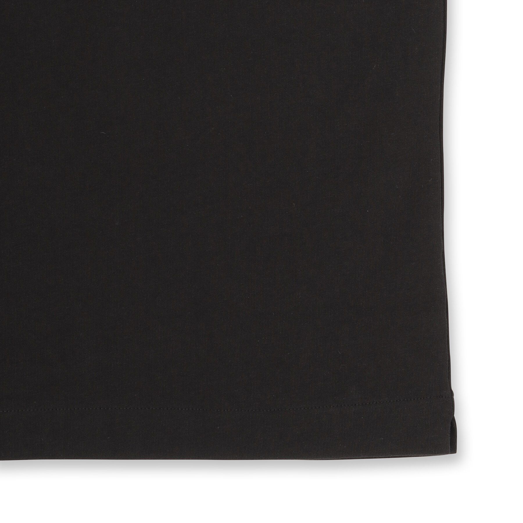DRESSTERIOR「LACOSTE（ラコステ）アウトラインクロッククルーネックTシャツ」|Tシャツ・カットソー|