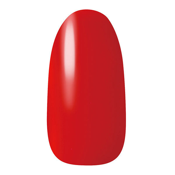 「ネイルホリック ネイルホリック RD411 本体/なめらかで軽い (5mL)」|ネイルカラー|