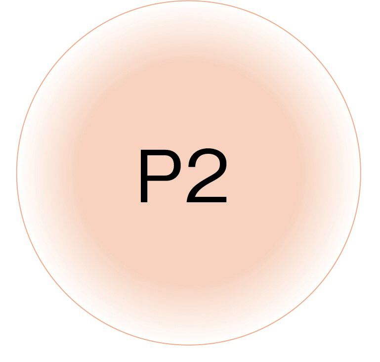  「B.A パウダリィファンデーション P2 （10g）　【パフ付き・ケース別売】」|ファンデーション|