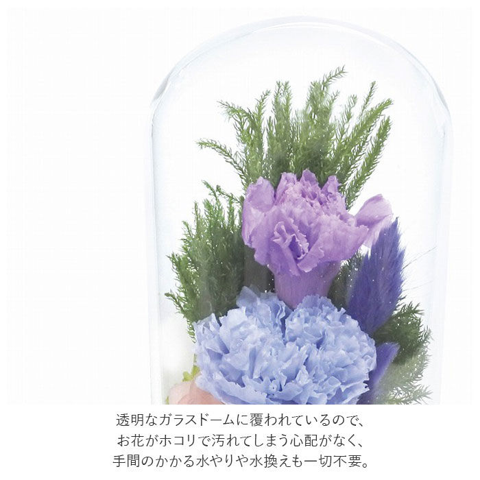 BACKYARD FAMILY「プリザーブドフラワー 仏花 通販 お供えガラスドーム 光莉 ひかり お供え物 おしゃれ 枯れない」|その他|