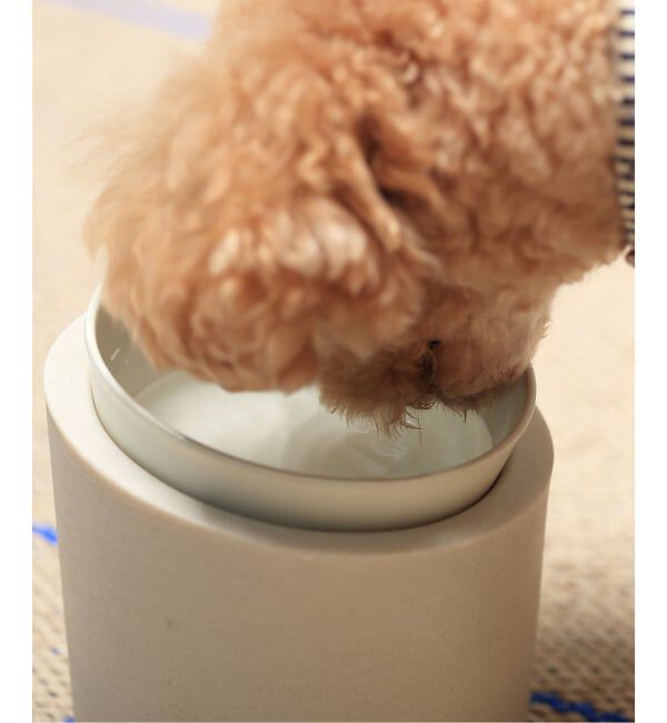 journal standard Furniture「【ideaco】Pet Feeder Water Low　ペットフィーダー」|食器・キッチングッズ|ホワイト