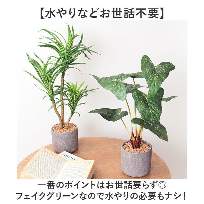 BACKYARD FAMILY「観葉植物 フェイク 大型 通販 フェイクグリーン アーティフィシャルグリーン インテリアグリーン」|その他|