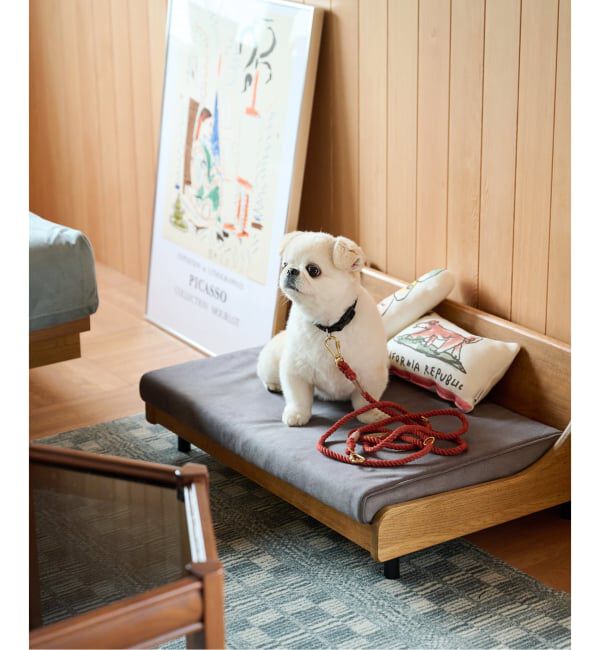 journal standard Furniture「【FOUND MY ANIMAL】ROPE LEASH 7FT　犬用 リード」|ステーショナリー|