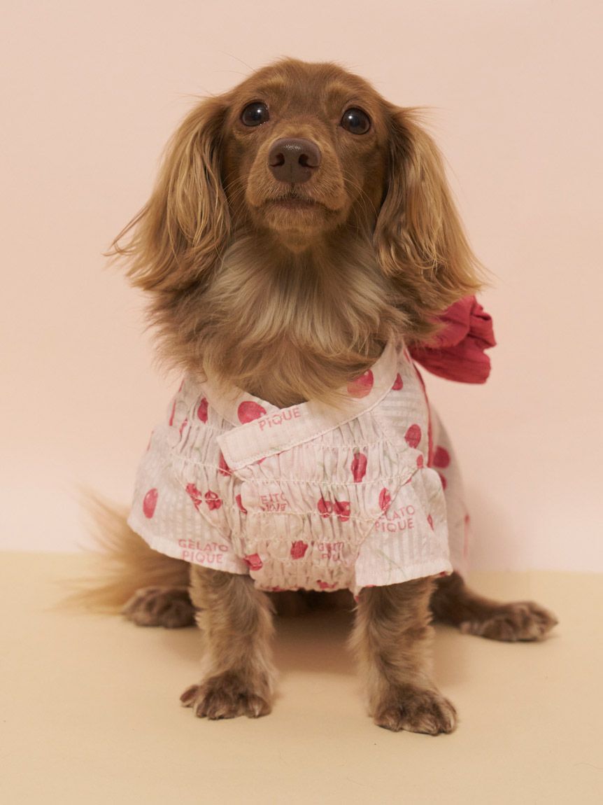  GELATO PIQUE CAT&DOG「【CAT&DOG】ダックスフンドサイズ浴衣」|その他|