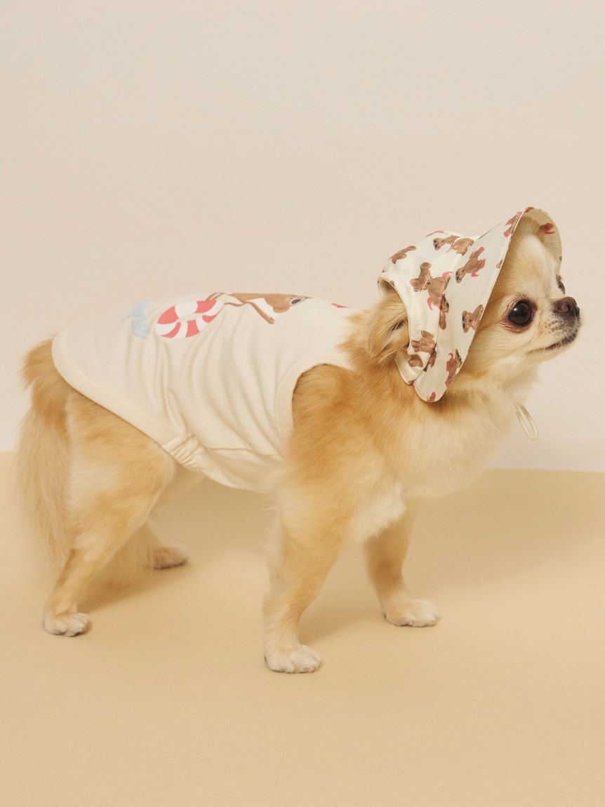  GELATO PIQUE CAT&DOG「【CAT&DOG】サマーベア柄ハット」|その他|