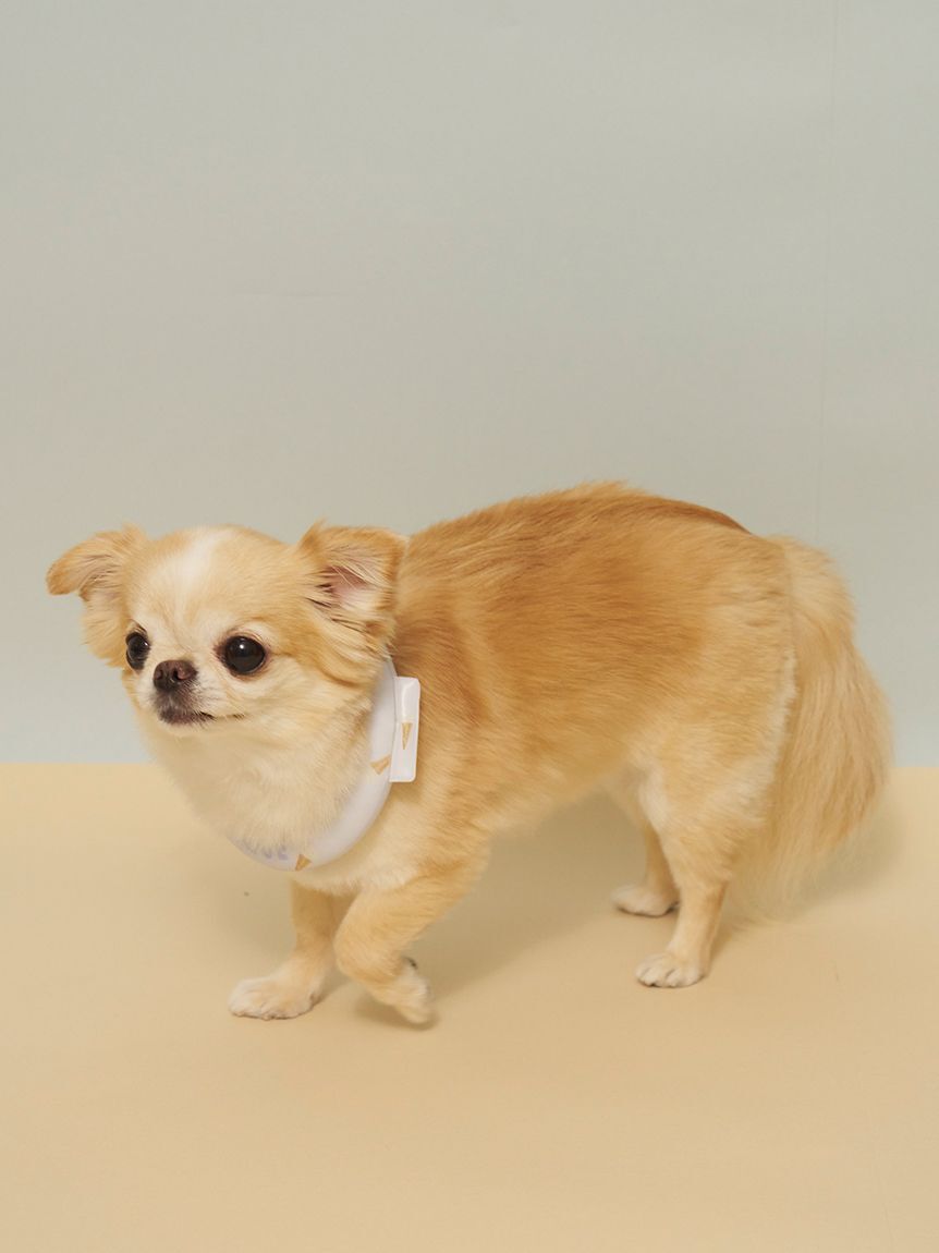  GELATO PIQUE CAT&DOG「【CAT&DOG】サマーモチーフ柄Coolingネックリング」|その他|
