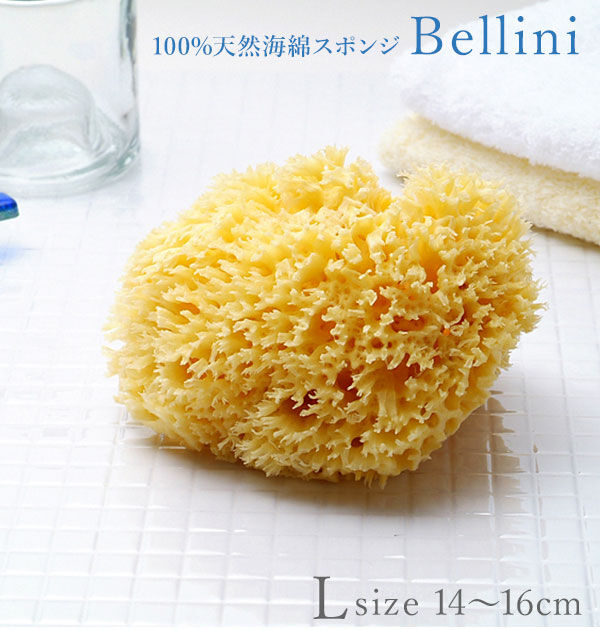 BACKYARD FAMILY「ボディスポンジ Bellini ベリーニ 通販 天然海綿スポンジ 天然海綿 ハニコム種 SA16」|入浴剤・バスグッズ|