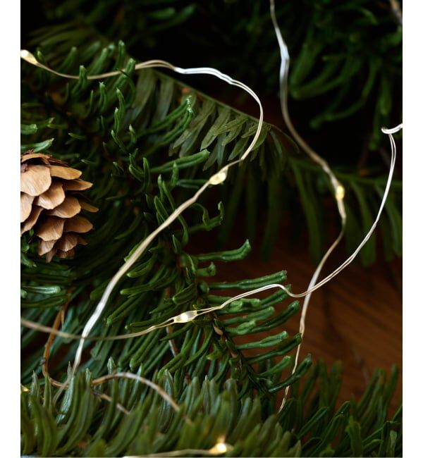 journal standard Furniture「XM 20BALLS WIRE RICE LIGHT　LEDデコレーション ライト」|その他|