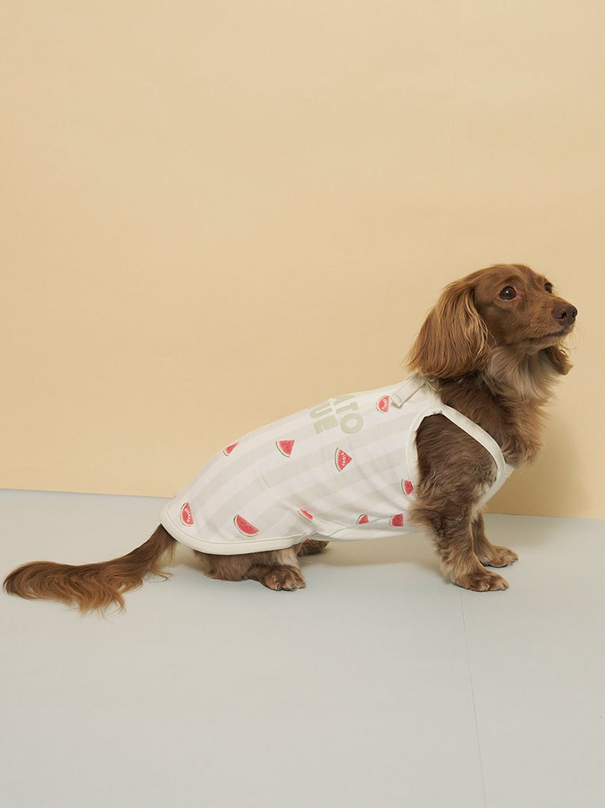  GELATO PIQUE CAT&DOG「【CAT&DOG】【接触冷感】ダックスフンドサイズCoolingプルオーバー」|その他|