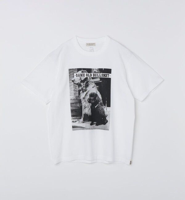 SHIPS「ILL180&deg;: DOGGY DOG TEE」|Tシャツ・カットソー|ホワイト
