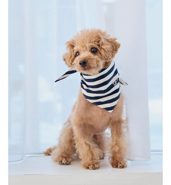 ROPE PICNIC PASSAGE「【DOG】バンダナ スカーフ」|その他|
