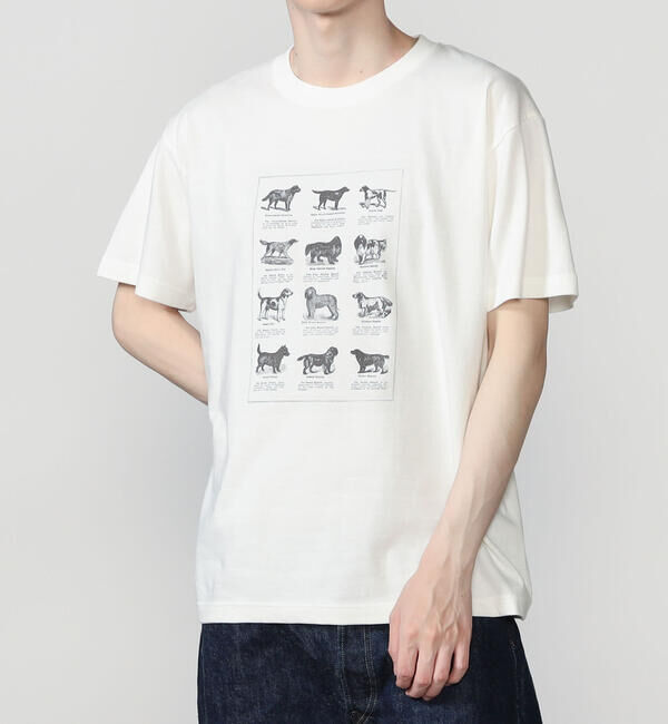  「History of Art | プリントTシャツ RABBITS & BIRDS MEN」|Tシャツ・カットソー|WHITE系1