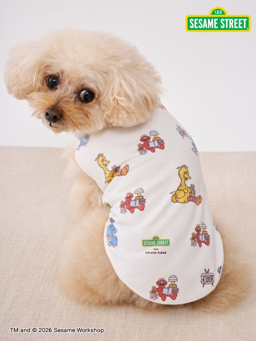  GELATO PIQUE CAT&DOG「【SESAME STREET】【CAT＆DOG】カットソープルオーバー」|その他|