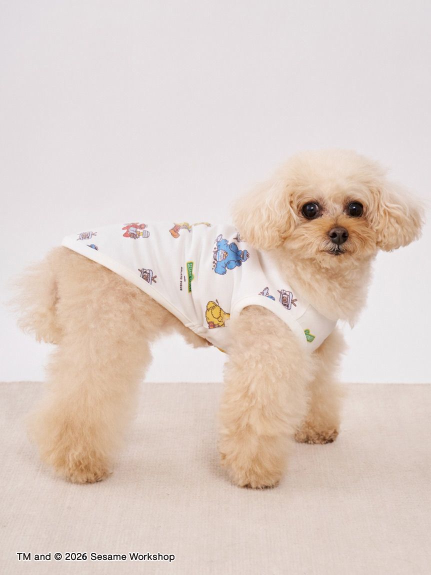  GELATO PIQUE CAT&DOG「【SESAME STREET】【CAT＆DOG】カットソープルオーバー」|その他|