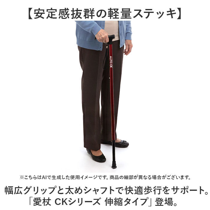 BACKYARD FAMILY「ケイ・ホスピア 杖 通販 ステッキ t字杖 つえ 一本杖 １本杖 伸縮杖 愛杖 CKシリーズ」|その他|