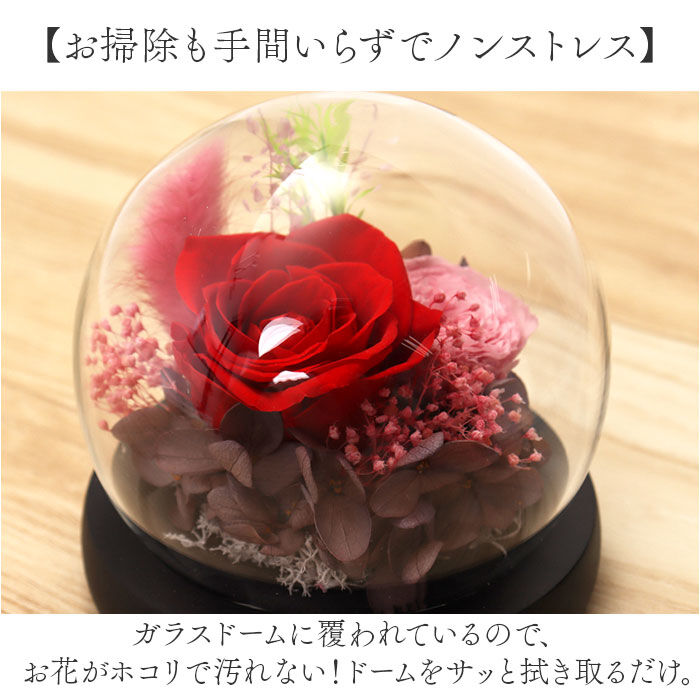 BACKYARD FAMILY「ブリザードフラワ- 通販 フラワーギフト ガラス製 フラワーアレンジメント ガラスドーム お花 花」|その他|
