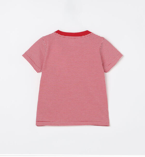 DANTON「DANTON | キッズ クルーネックTシャツ STRIPE」|その他|