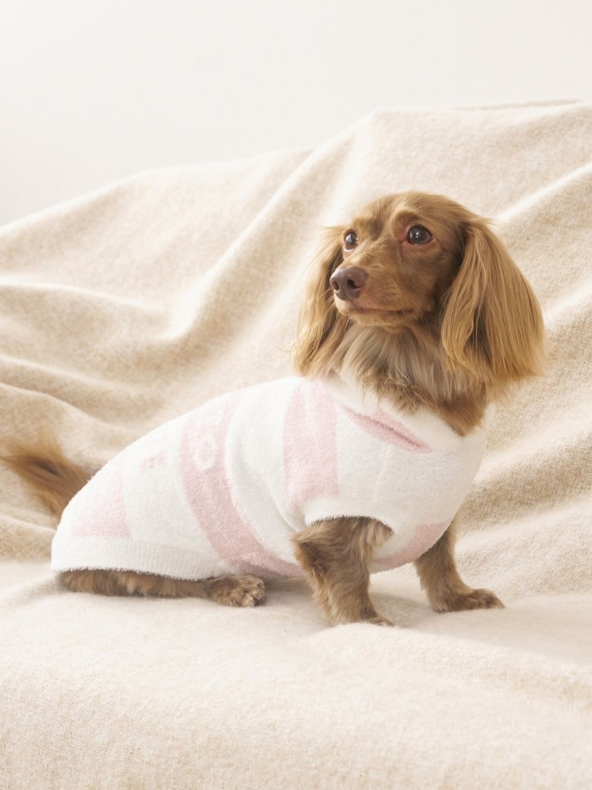  GELATO PIQUE CAT&DOG「【CAT&DOG】スムーズィーダックスサイズ２ボーダーフーディー」|その他|