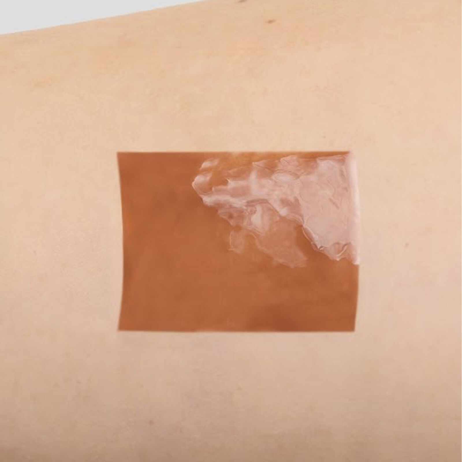  「DIDION MELTY LIP GLOSS 03 Brown Sugar (3.6g)」|リップメイク|