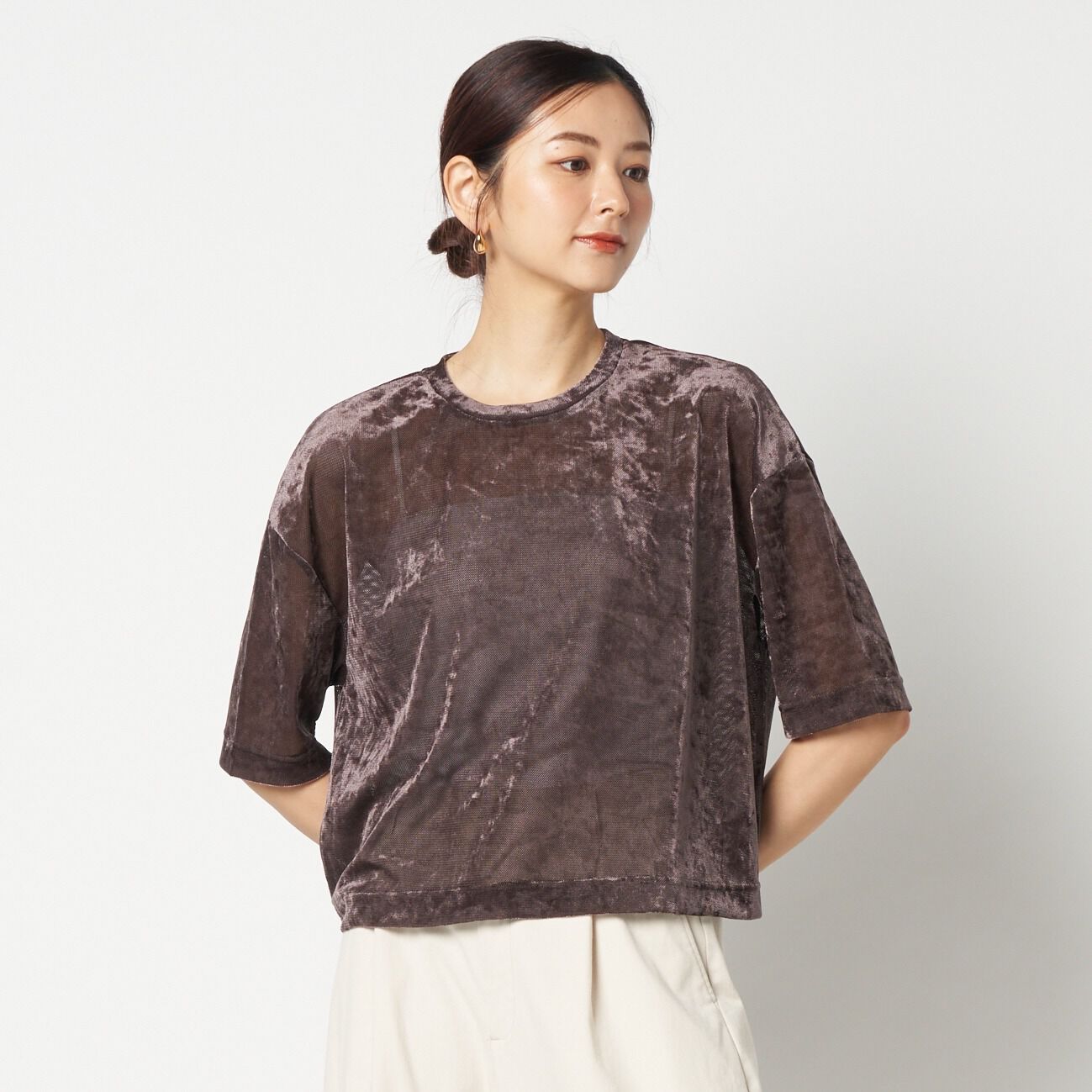 HELIOPOLE「HELIOPOLE SHEER VELOUR TEE」|Tシャツ・カットソー|