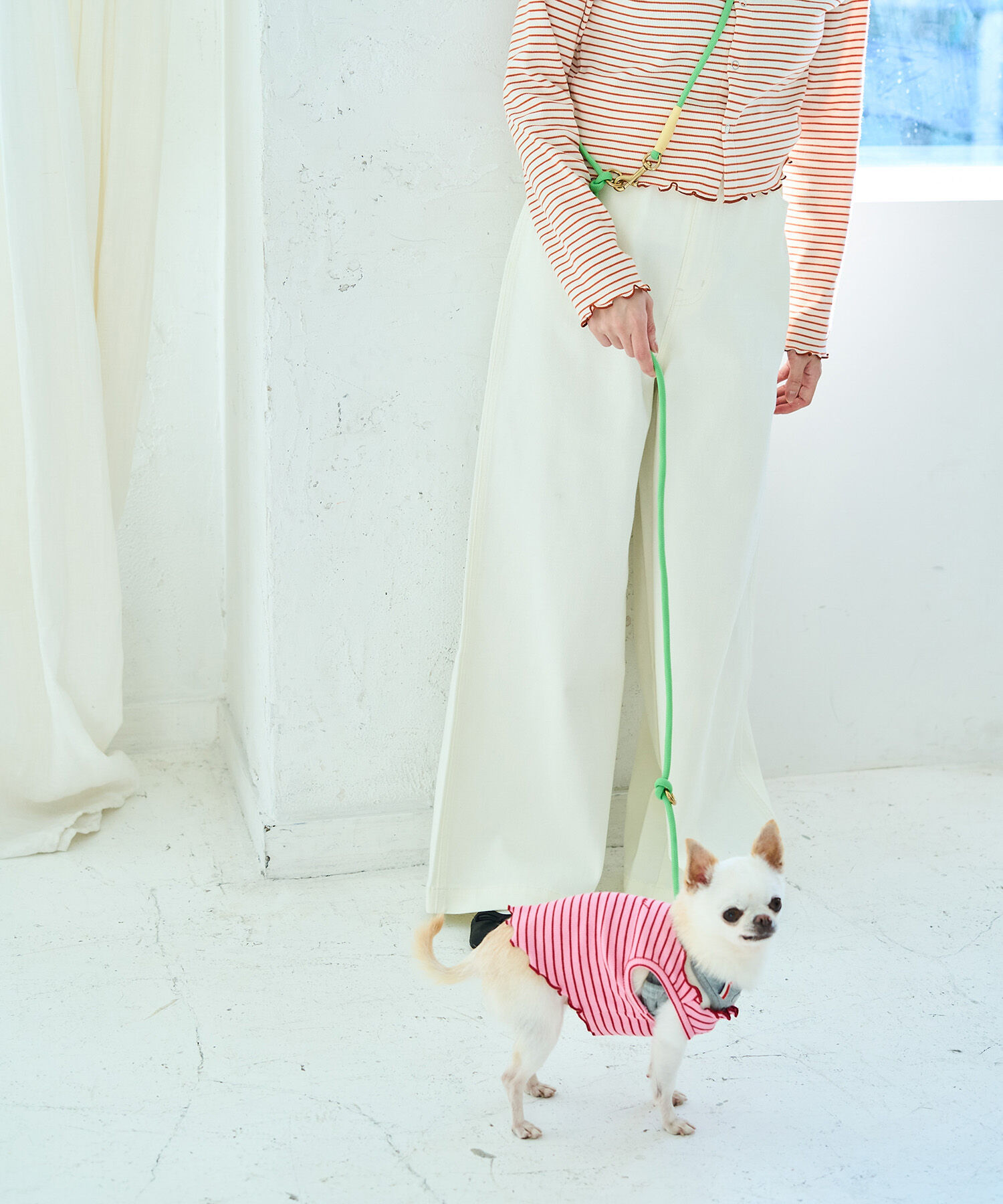 ROPE PICNIC PASSAGE「【DOG】ハンズフリーリードロング」|その他|