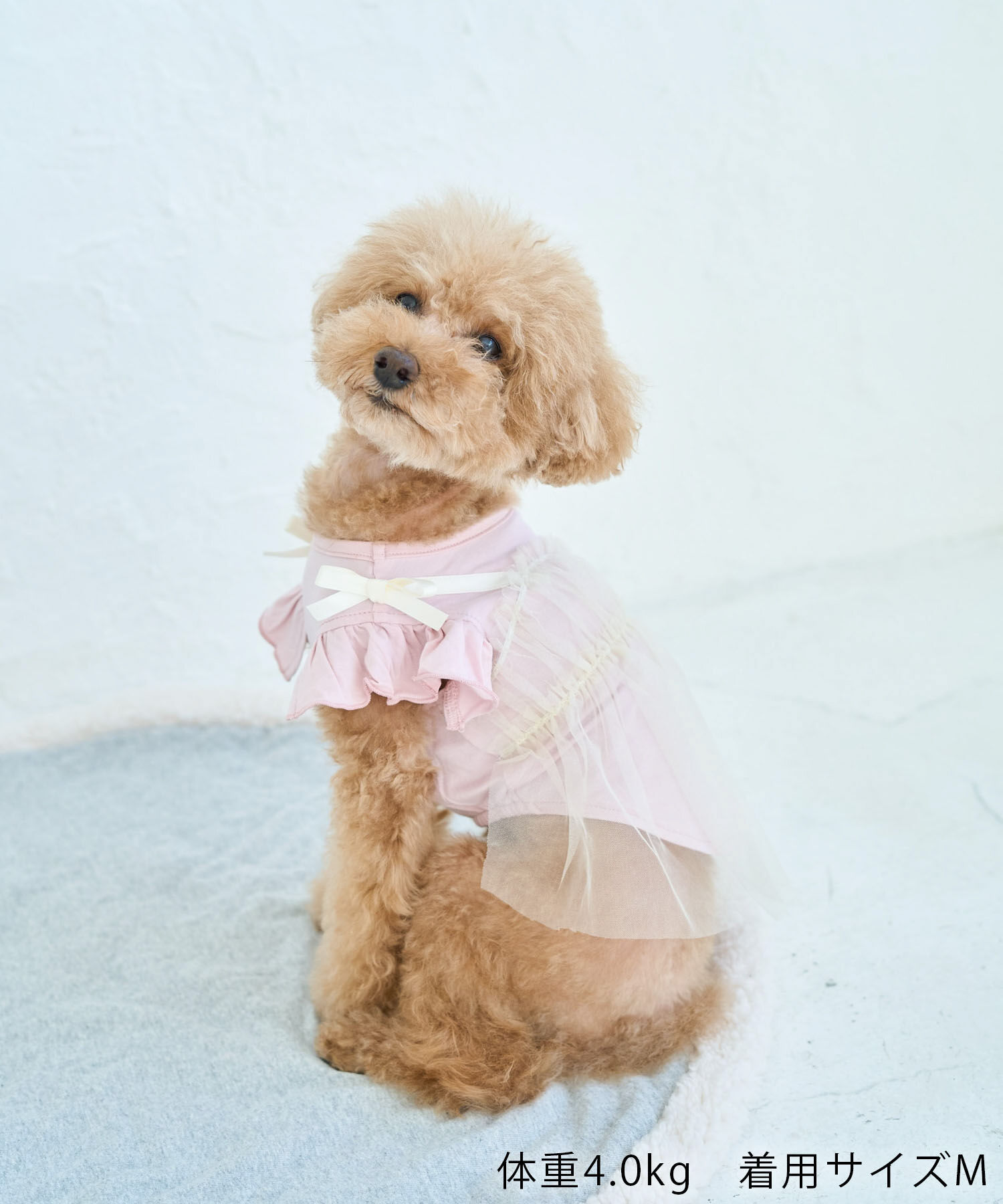 ROPE PICNIC PASSAGE「【DOG】キャミチュールドッキングワンピース」|その他|