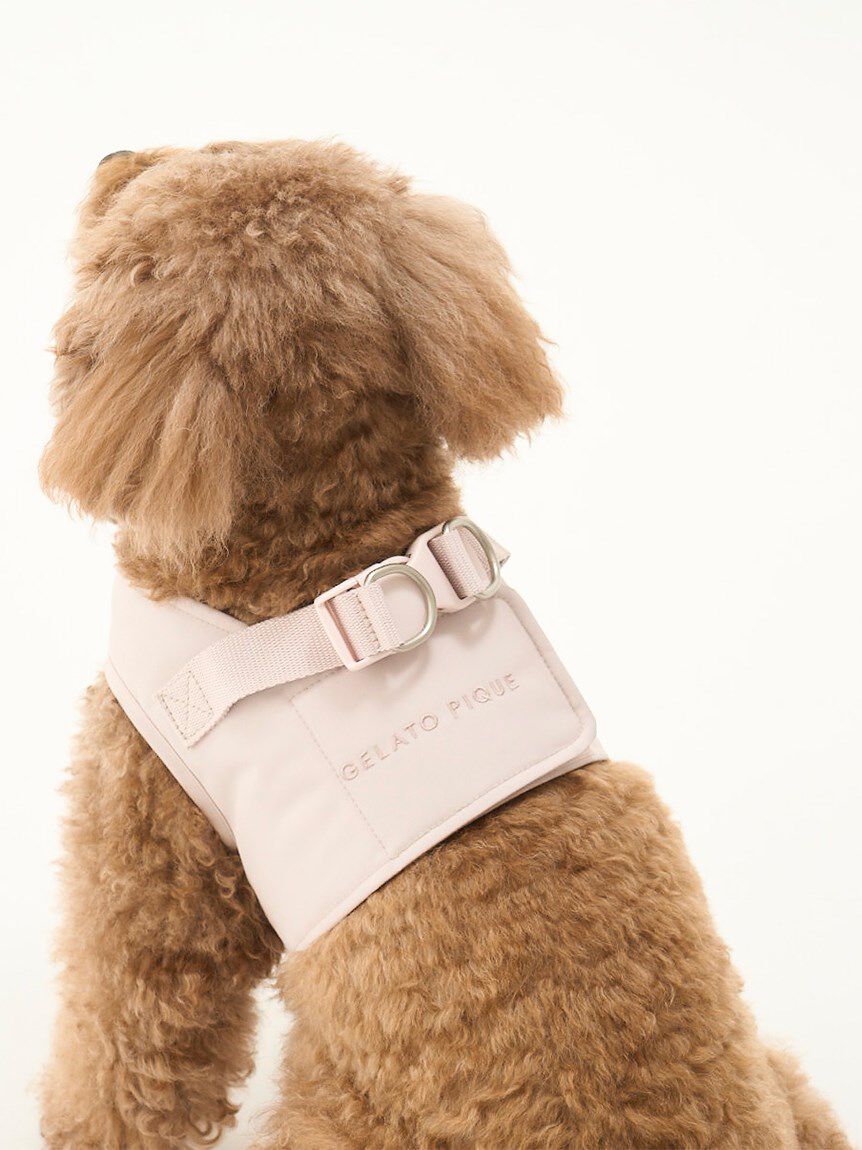  GELATO PIQUE CAT&DOG「【CAT&DOG】【販路限定商品】ハーネス」|その他|