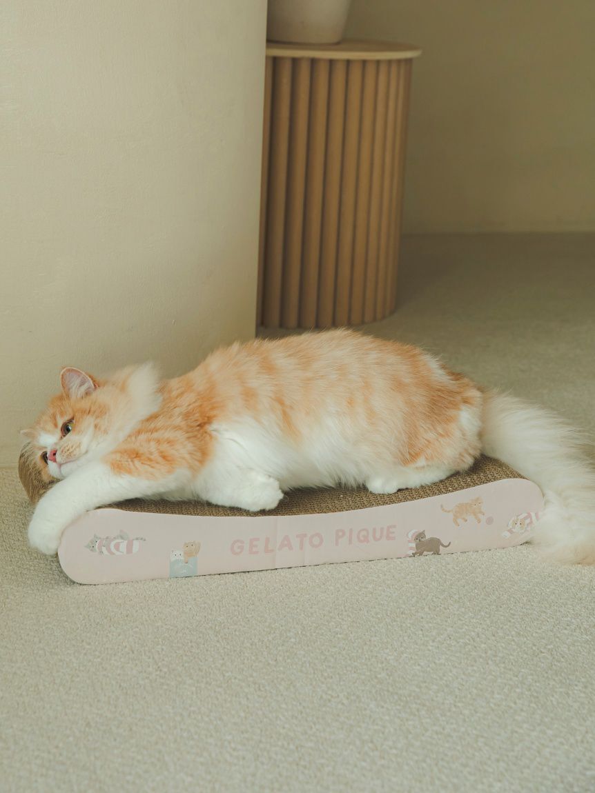  GELATO PIQUE CAT&DOG「【CAT&DOG】ねこ柄つめとぎ」|その他|