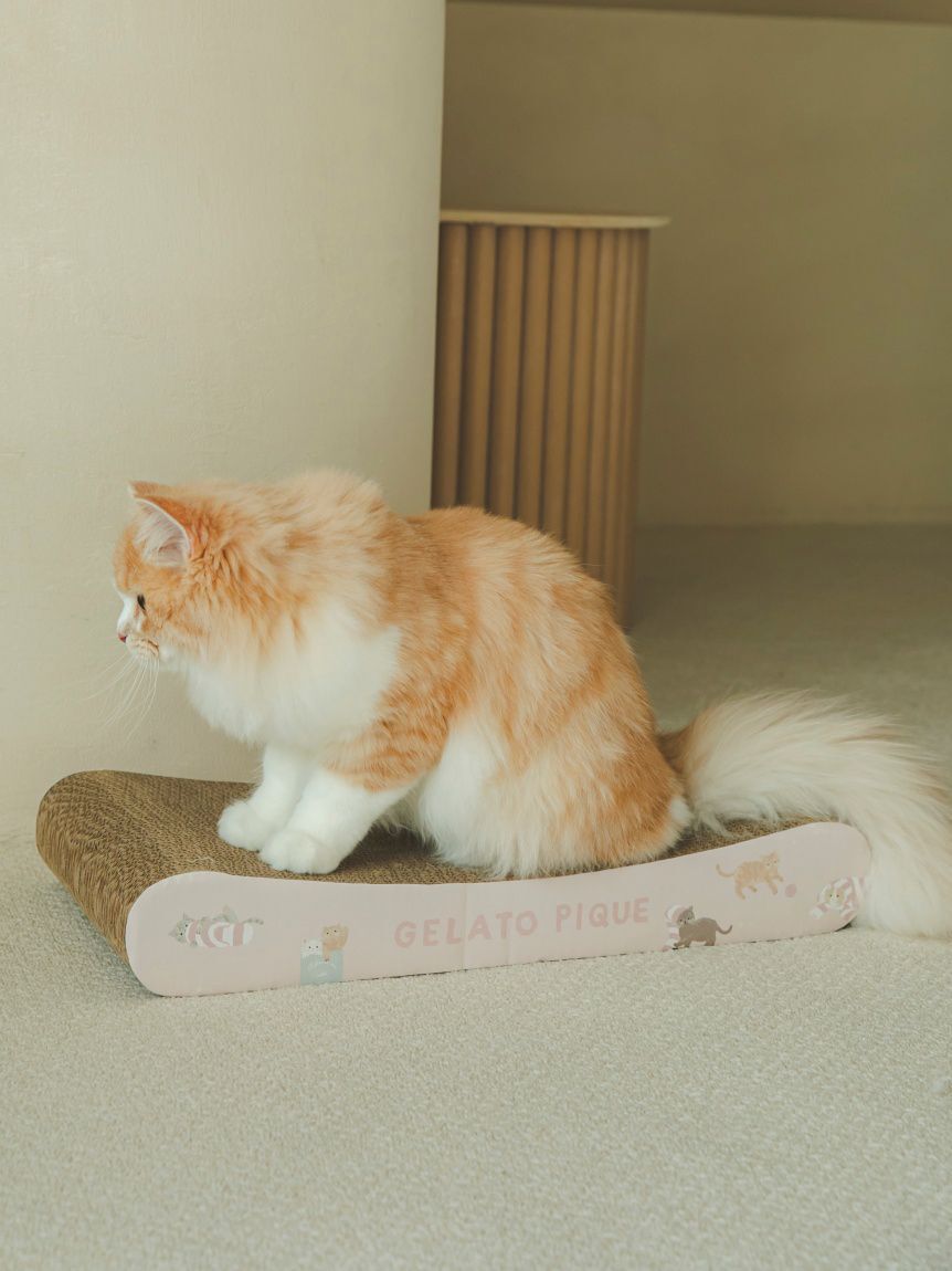  GELATO PIQUE CAT&DOG「【CAT&DOG】ねこ柄つめとぎ」|その他|