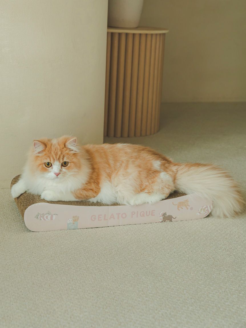  GELATO PIQUE CAT&DOG「【CAT&DOG】ねこ柄つめとぎ」|その他|