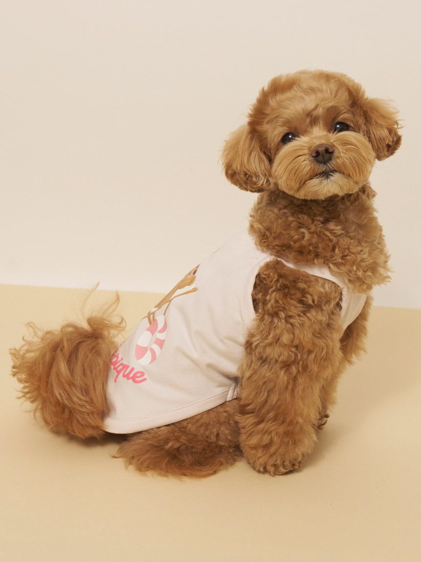  GELATO PIQUE CAT&DOG「【CAT&DOG】【接触冷感】サマーベア柄プルオーバー」|その他|