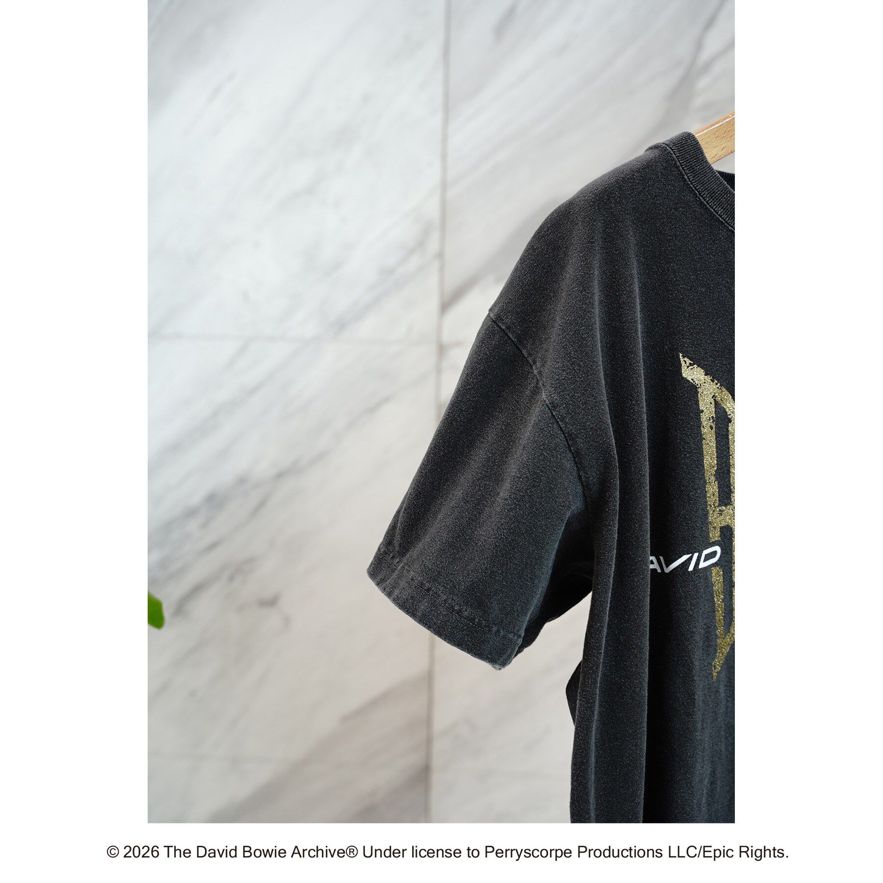 DRESSTERIOR「GOOD ROCK SPEED（グッドロックスピード）DAIVD BOWIE Tシャツ」|Tシャツ・カットソー|