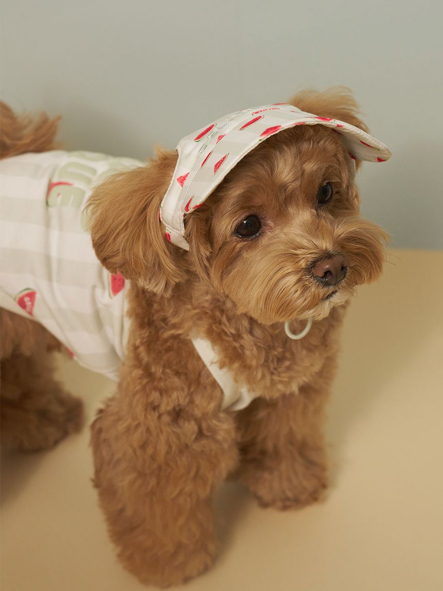  GELATO PIQUE CAT&DOG「【CAT&DOG】ソフトサンバイザー」|その他|