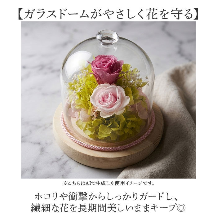 BACKYARD FAMILY「プリザーブドフラワー ガラスドーム 通販 プリザーブド フラワー フラワーアレンジメント ガラス」|その他|