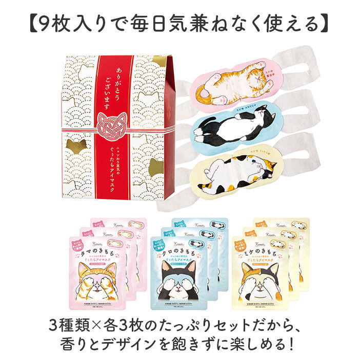 ホットアイマスク 使い捨て ギフト 9枚 通販 ホット アイマスク ギフト