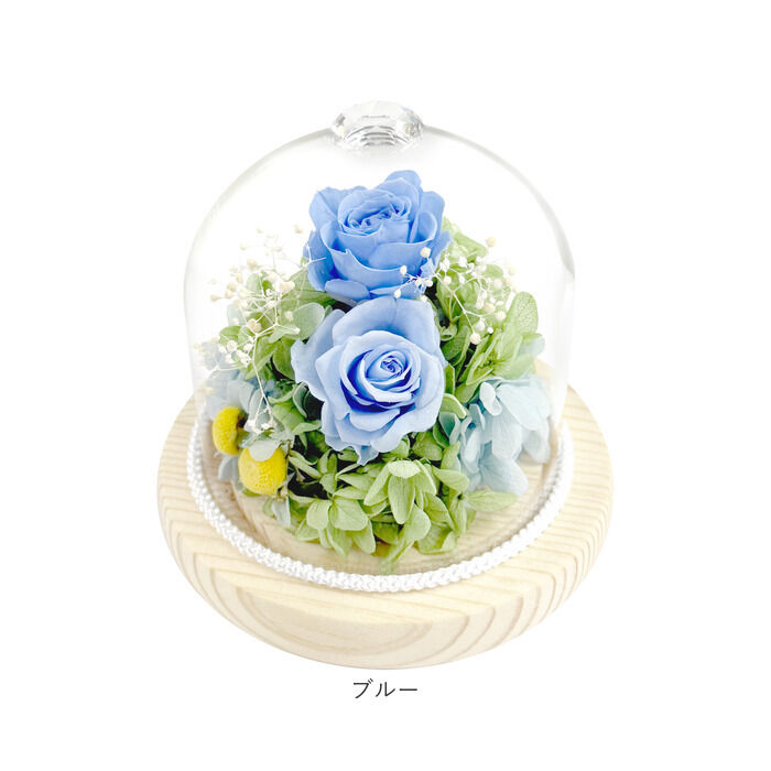 プリザーブドフラワー ガラスドーム 通販 プリザーブド フラワー